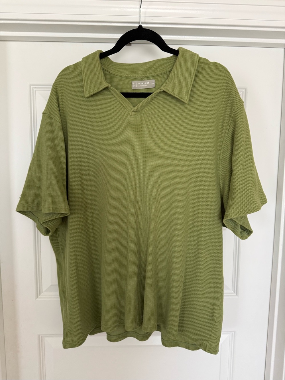 Everlane Olive Green Waffle Polo Shirt